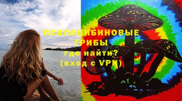 Альфа ПВП Аркадак