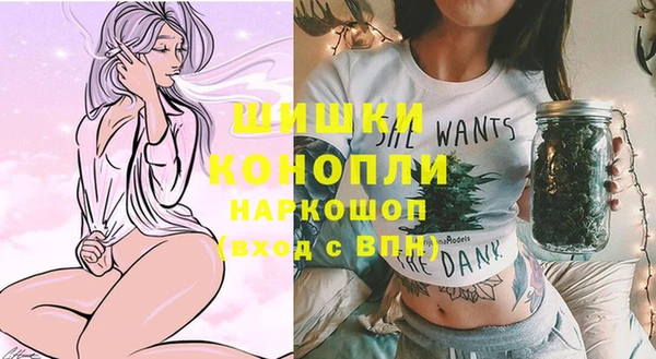 Альфа ПВП Аркадак